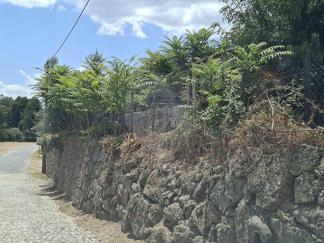 Apartamento à venda em Belmonte