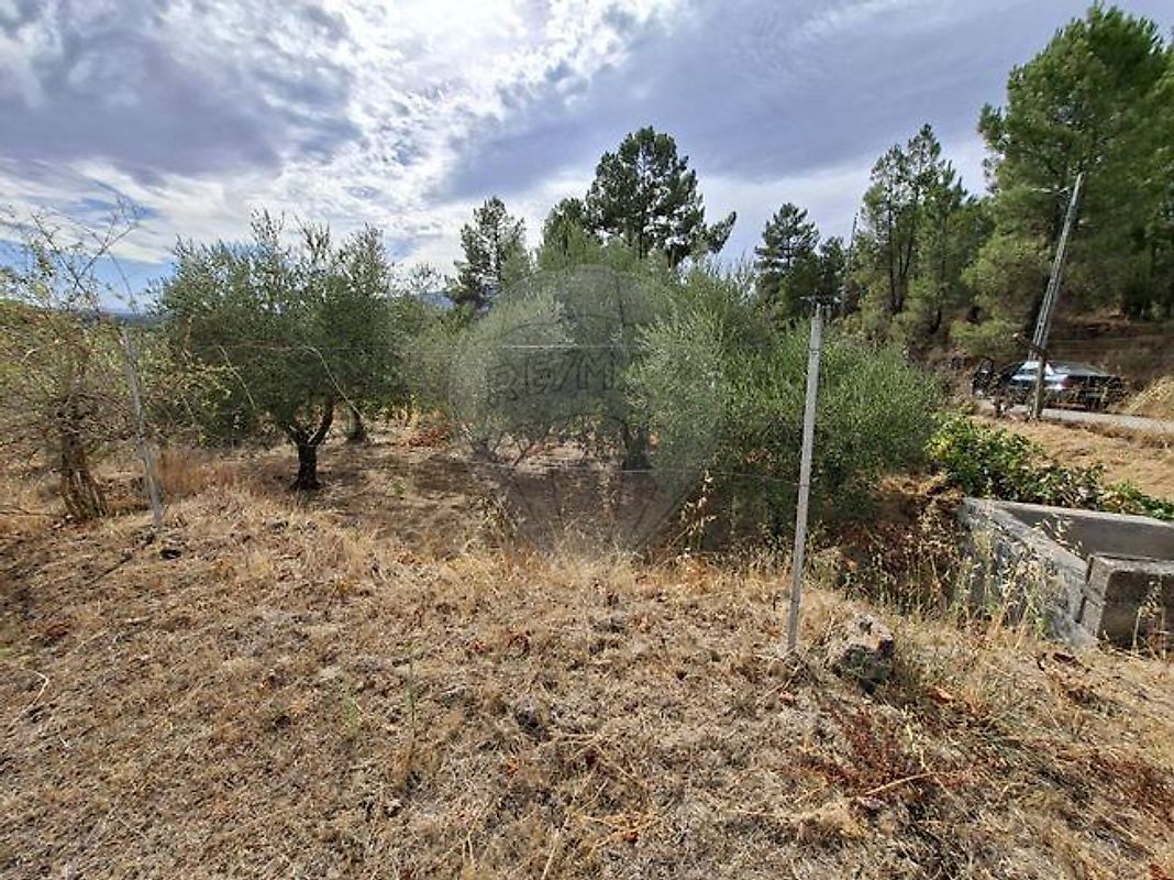 Moradia T2 à venda em Belmonte e Colmeal da Torre, Belmonte — foto 6