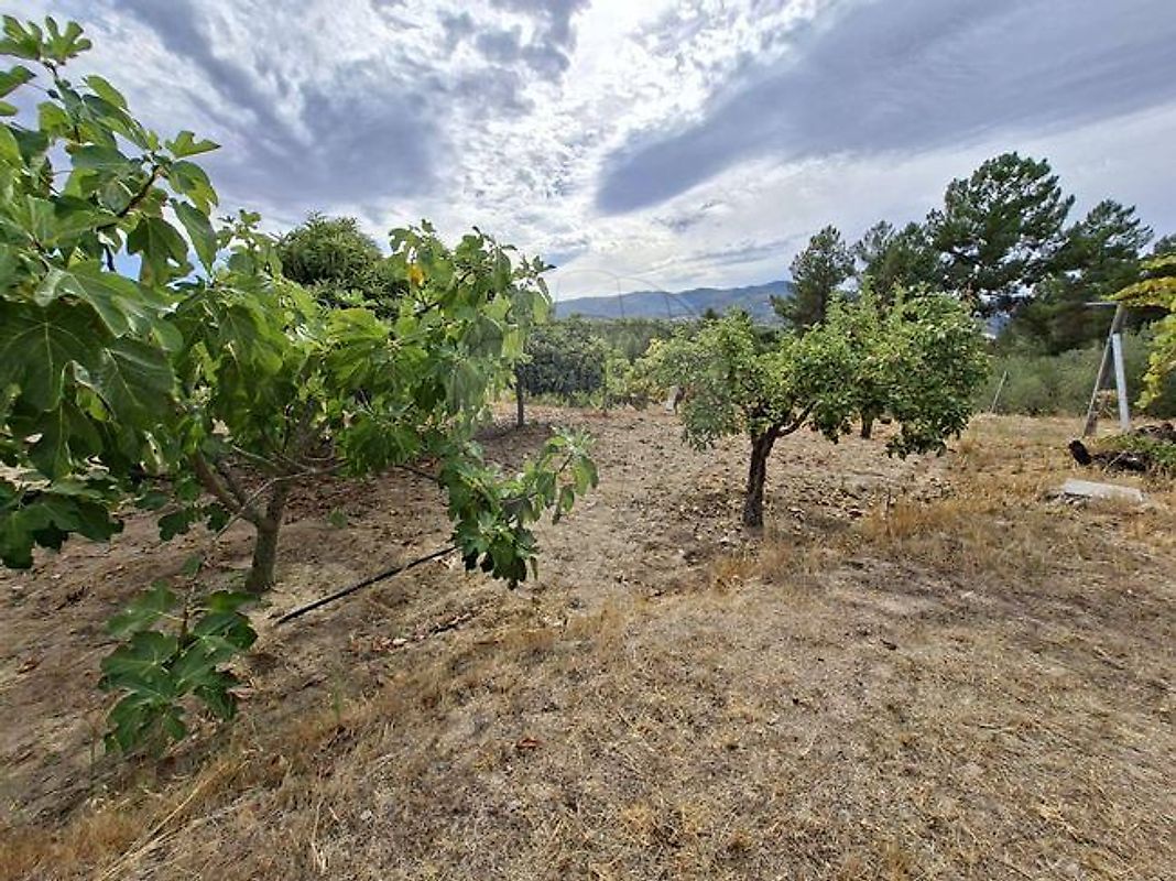 Moradia T2 à venda em Belmonte e Colmeal da Torre, Belmonte — foto 7