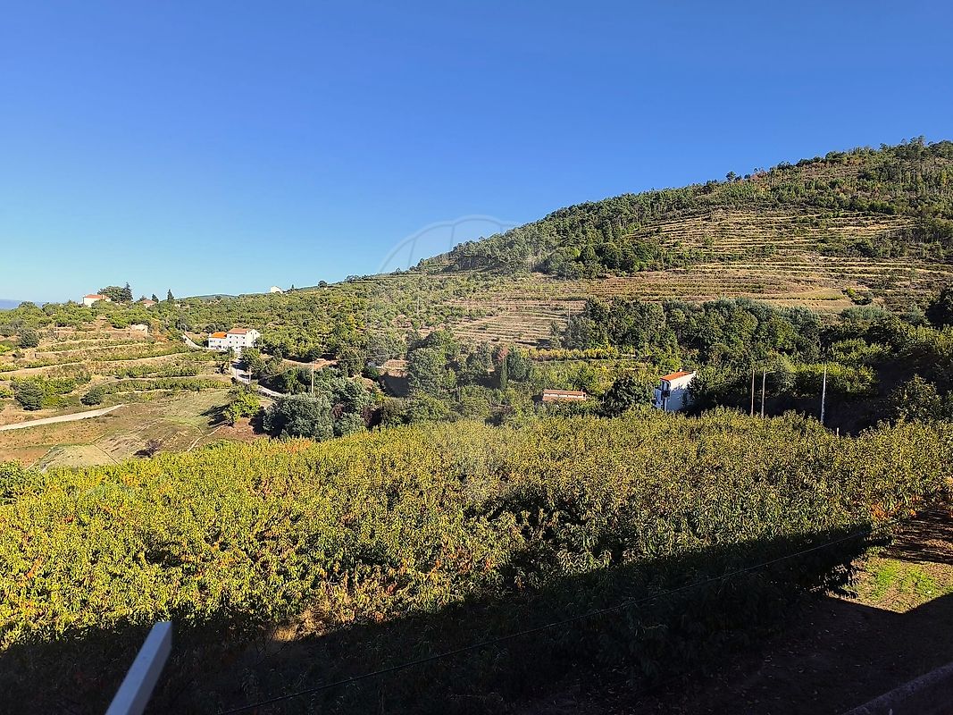 Moradia T4 à venda em Alcongosta, Fundão — foto 19