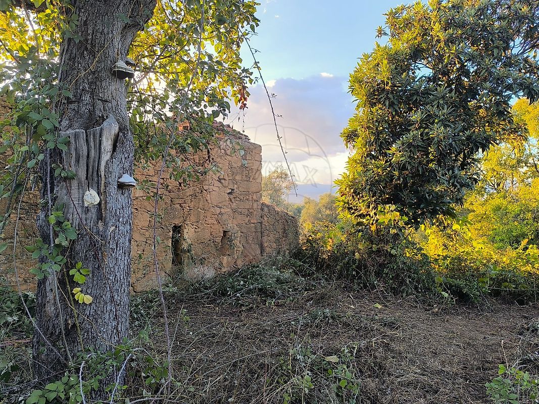 Quinta à venda em Fundão