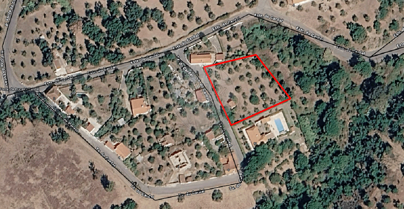 Terreno - Santa Margarida da Coutada, Constância, Santarém