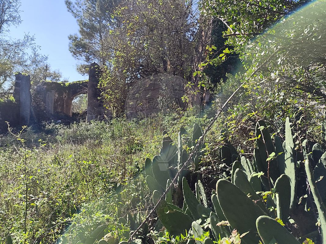 listing 124631130-7 picture-0