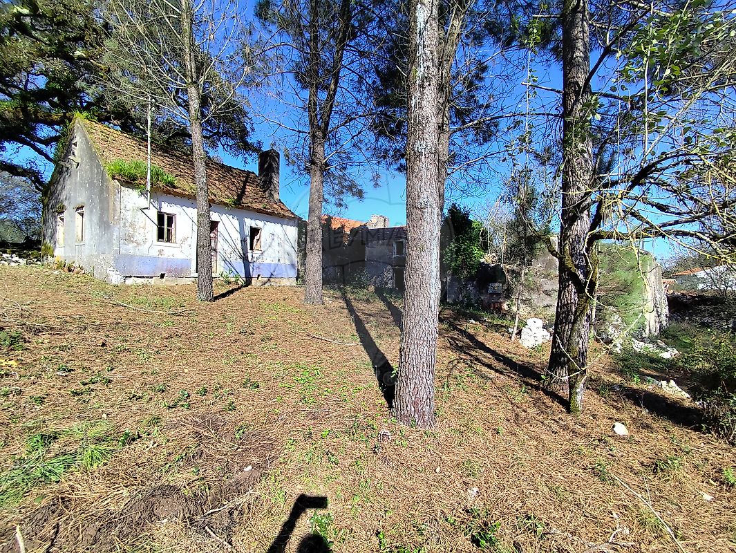listing 124631130-7 picture-0