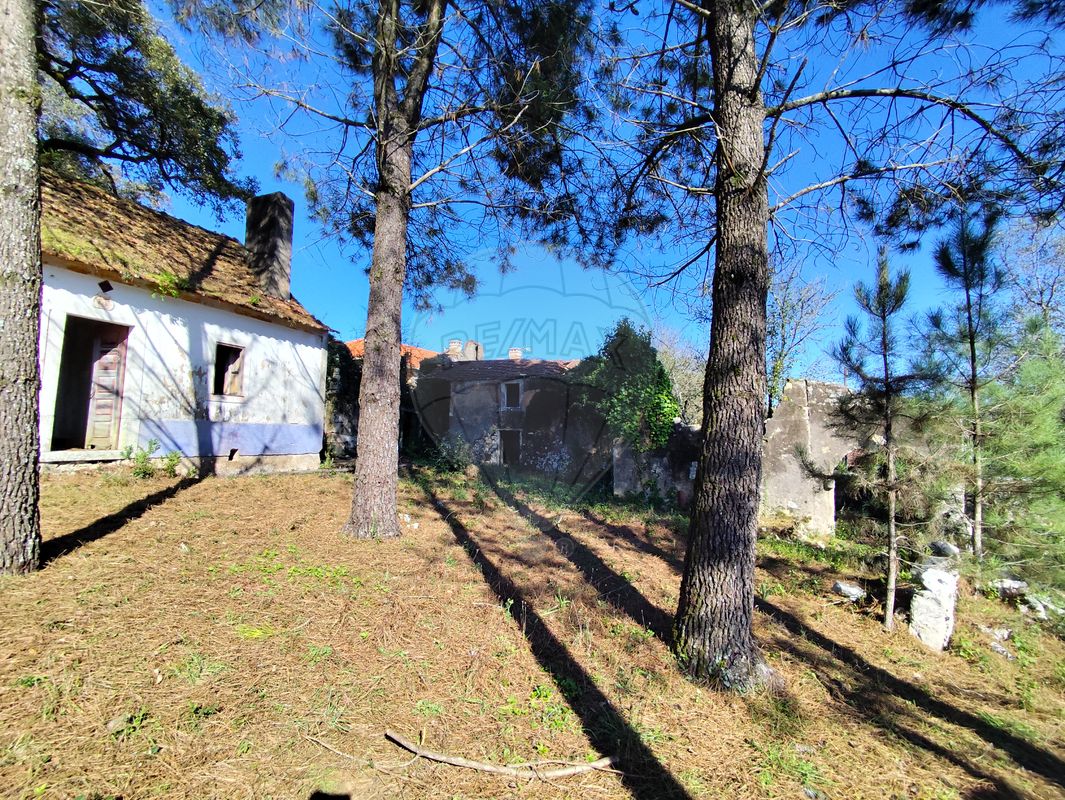listing 124631130-7 picture-0