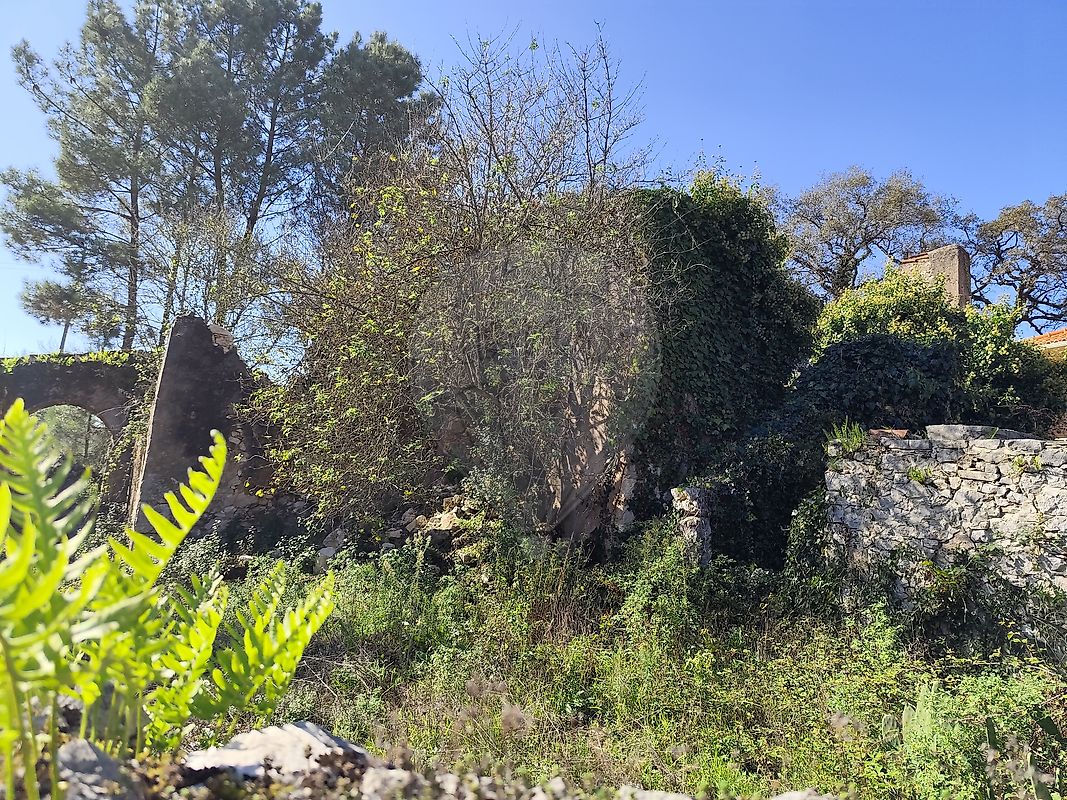 listing 124631130-7 picture-0