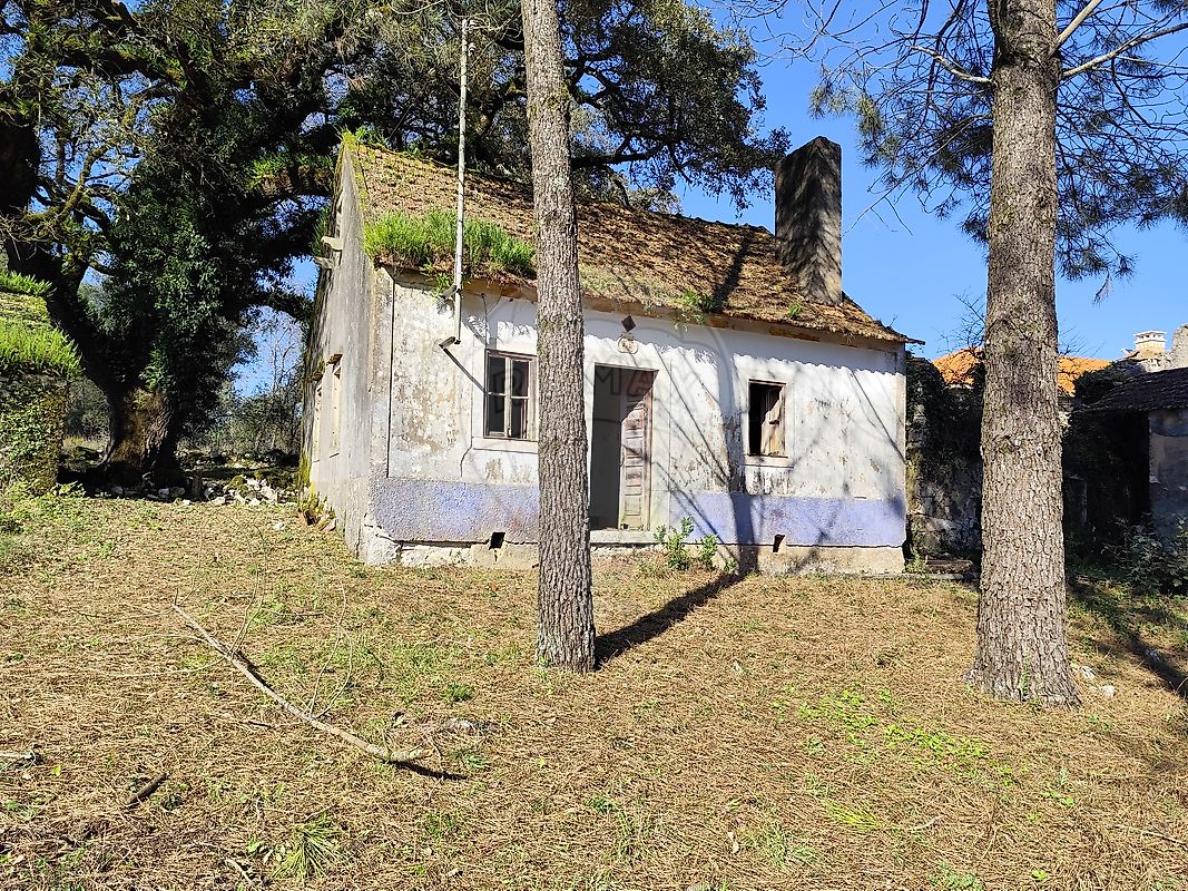 listing 124631130-7 picture-0