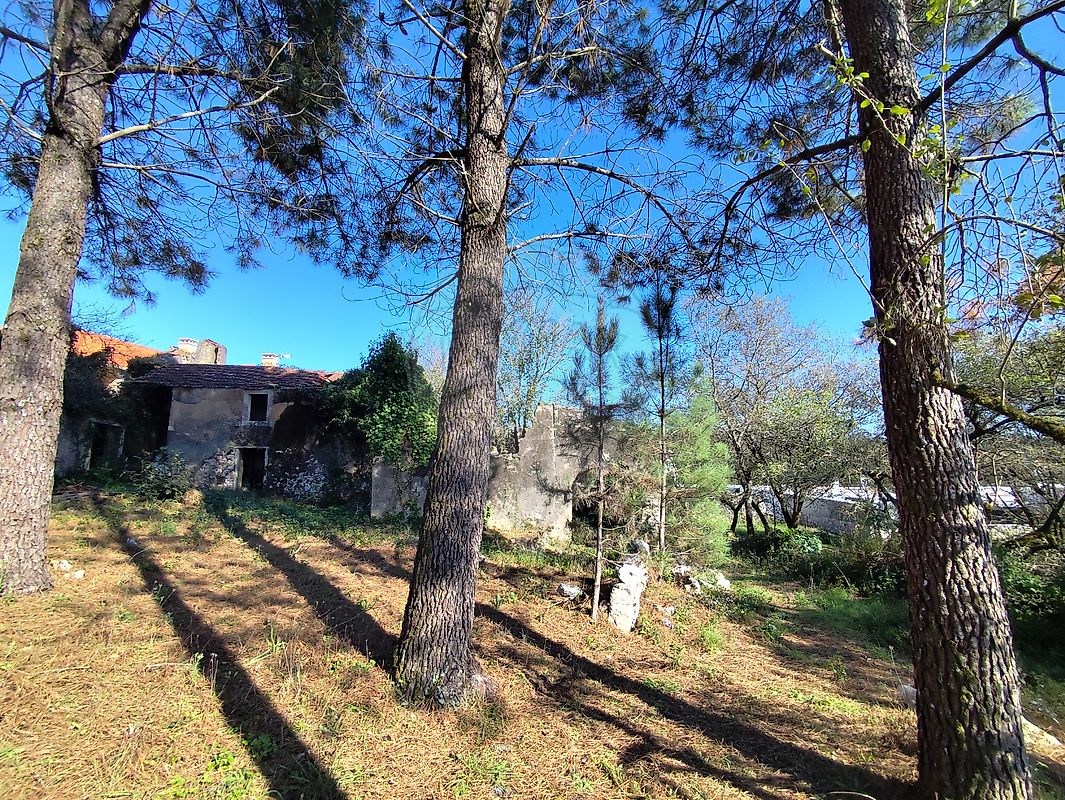 listing 124631130-7 picture-0