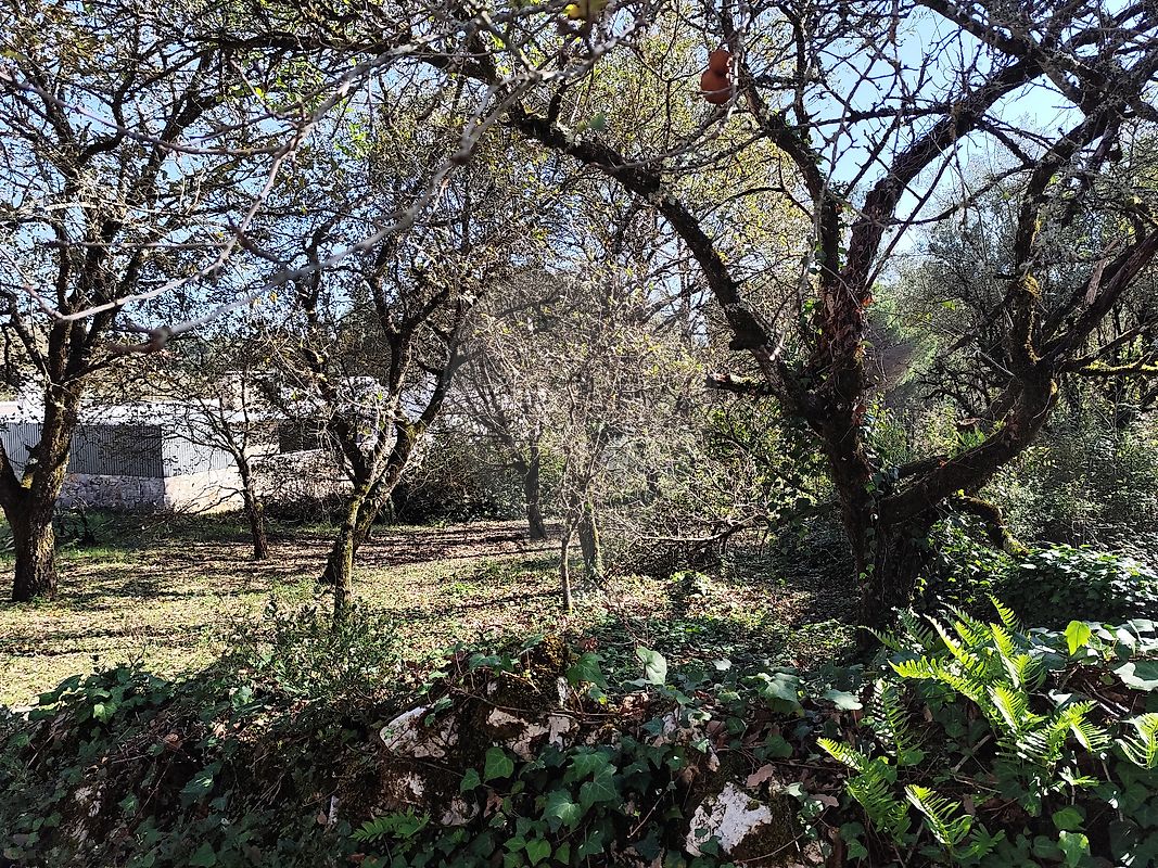 listing 124631130-7 picture-0