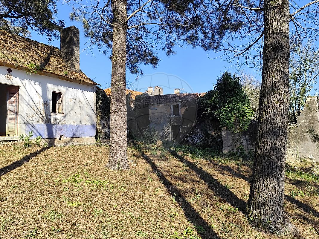 listing 124631130-7 picture-0