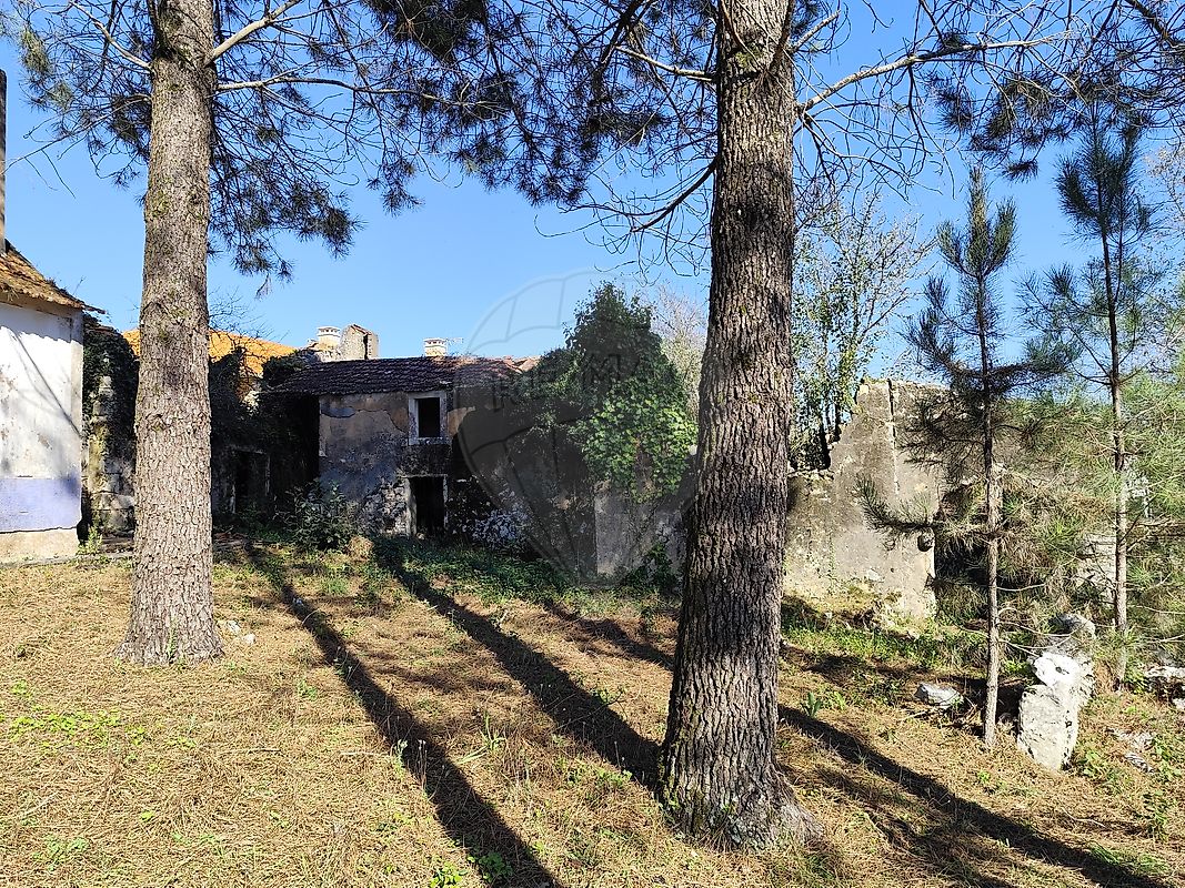 listing 124631130-7 picture-0