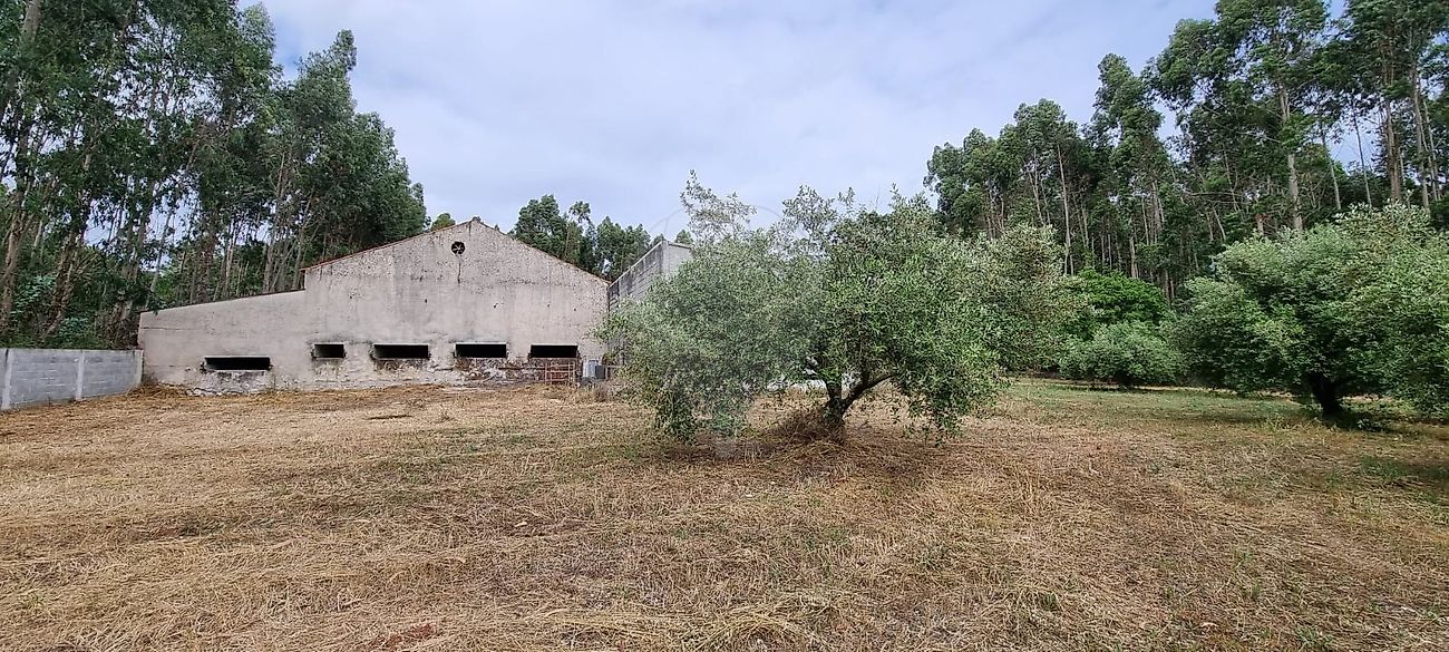 listing-picture-0