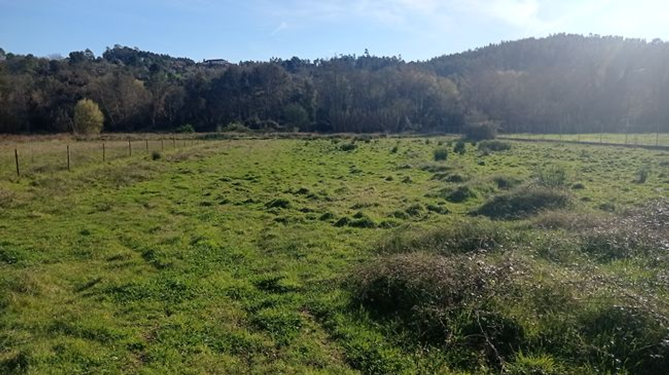 Terreno à venda em Ourém