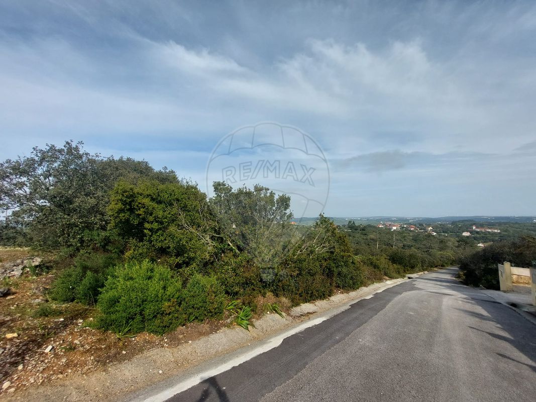 listing-picture-0