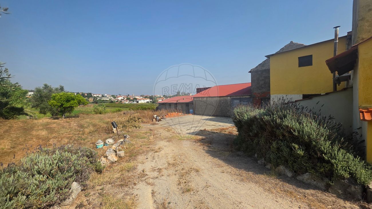listing 124631125-33 picture-0