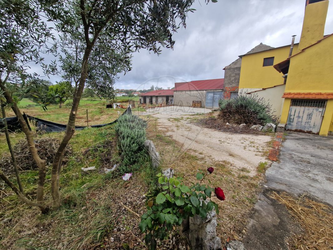 listing 124631125-33 picture-0