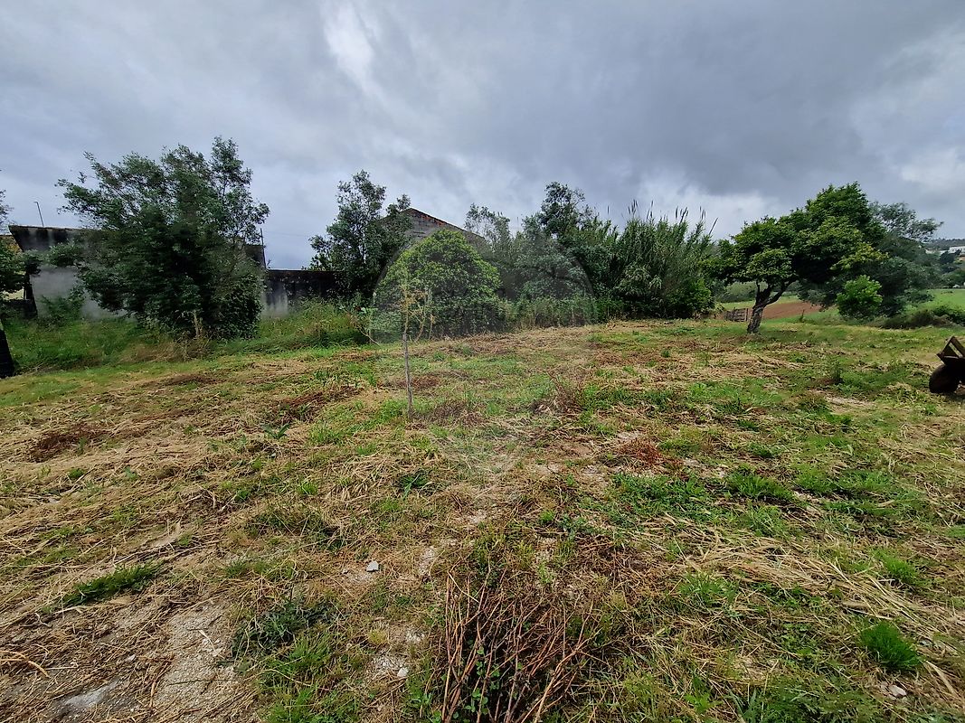 listing 124631125-33 picture-0
