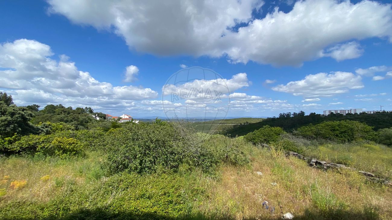 listing 124631141-9 picture-0