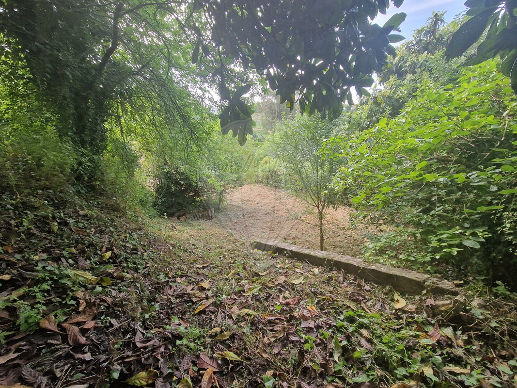 listing 124631125-35 picture-0