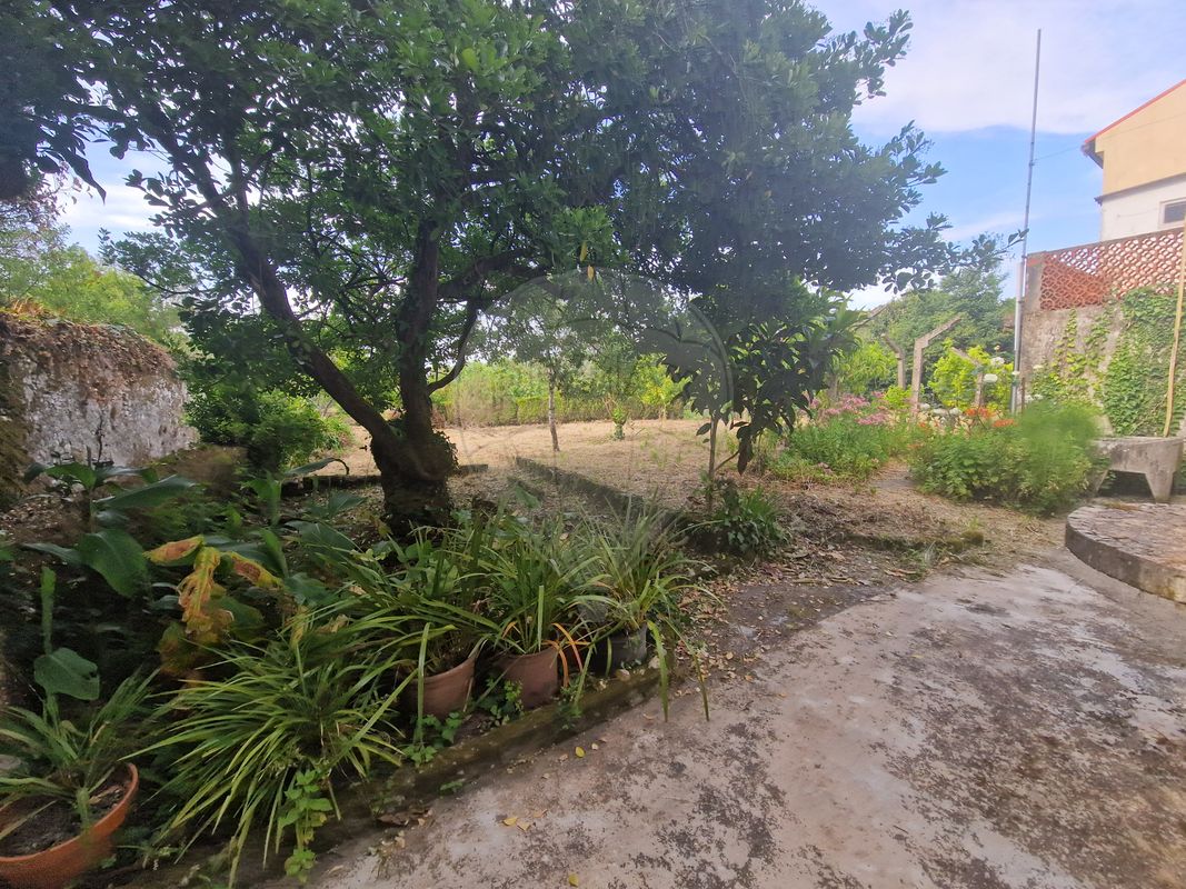 listing 124631125-35 picture-0