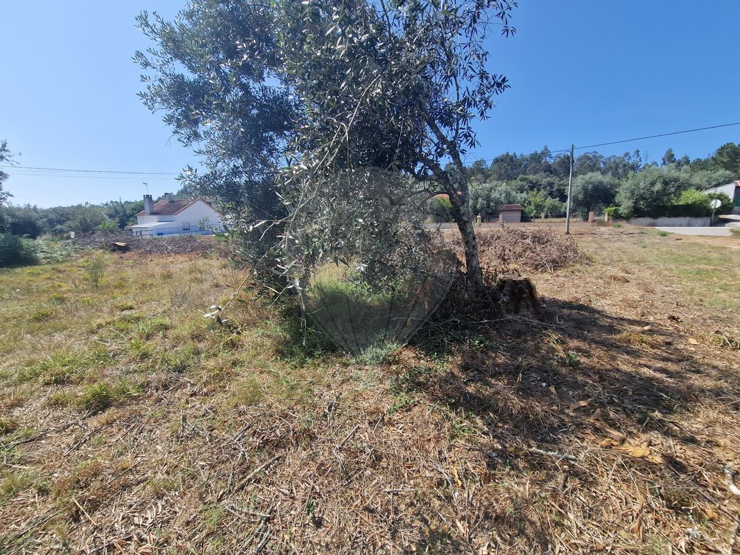 listing 124631125-49 picture-0