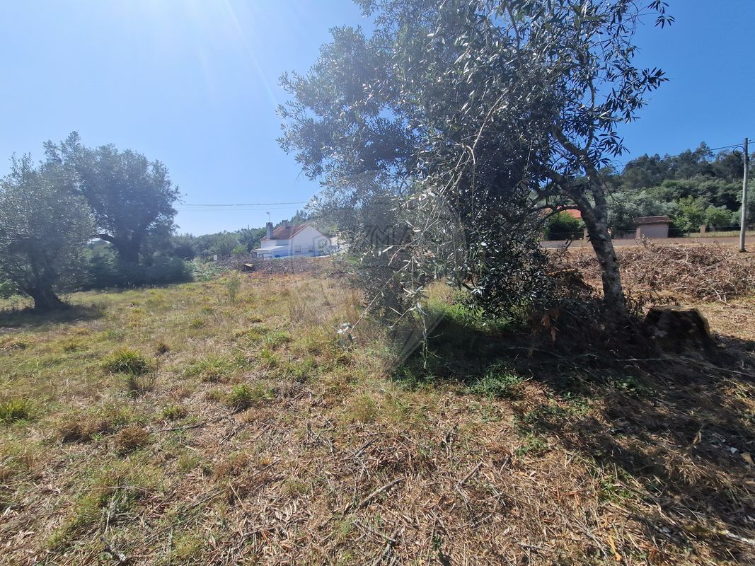 listing 124631125-49 picture-0