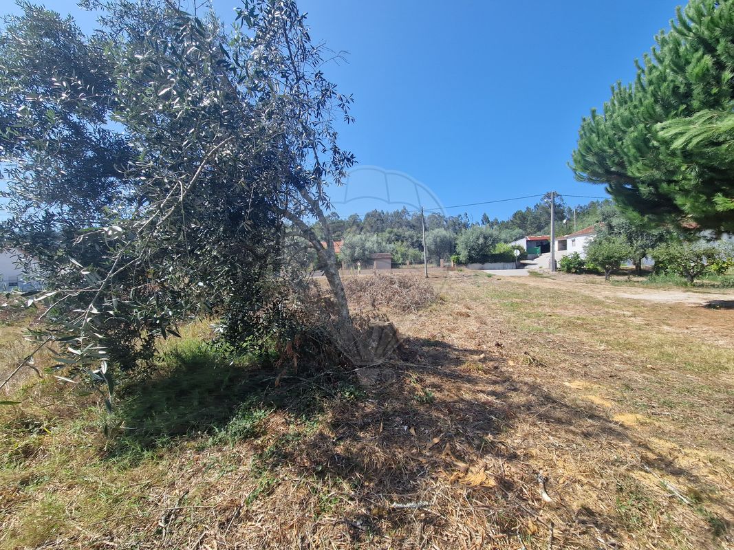 listing 124631125-49 picture-0