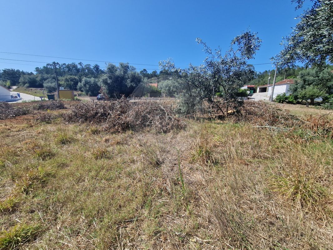 listing 124631125-49 picture-0