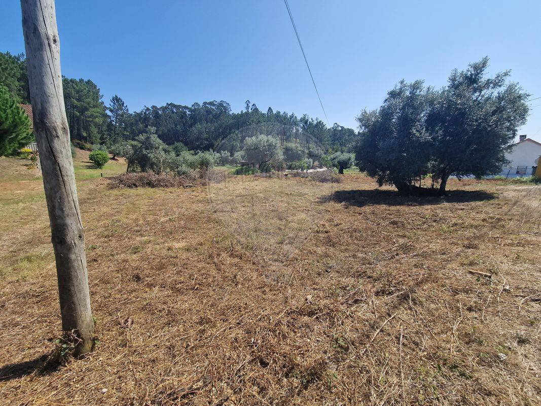 listing 124631125-49 picture-0