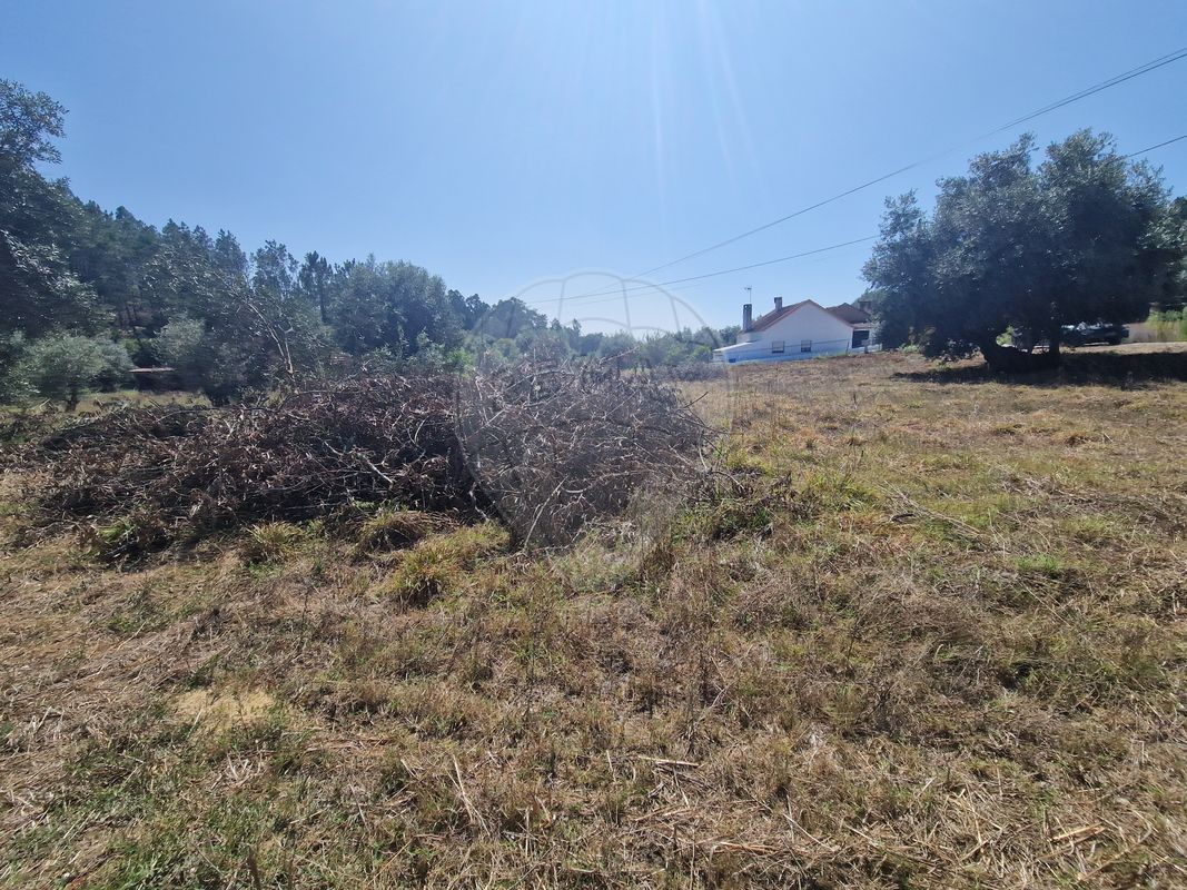 listing 124631125-49 picture-0