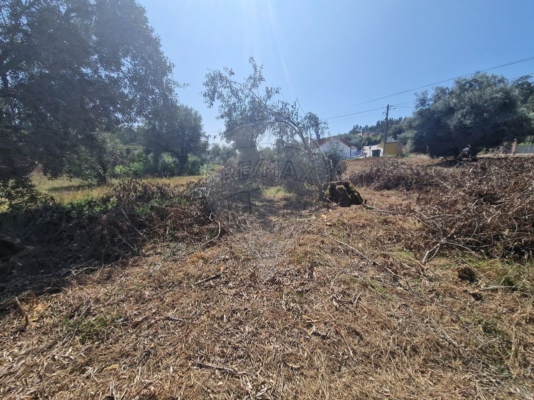 listing 124631125-49 picture-0