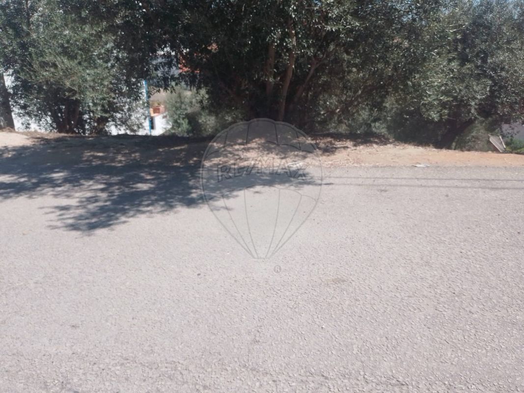 listing 124631107-17 picture-0