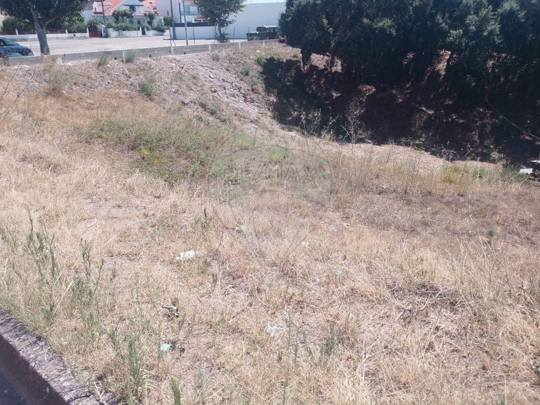 listing 124631107-18 picture-0