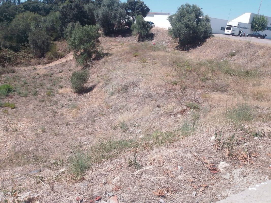 listing 124631107-18 picture-0