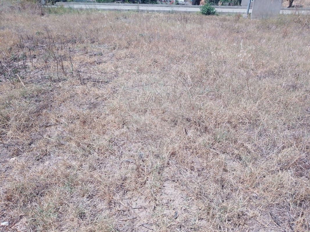 listing 124631107-19 picture-0