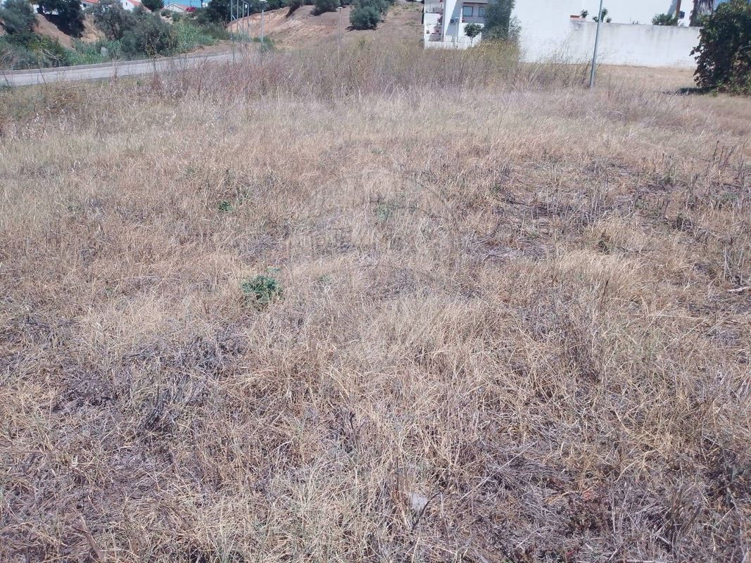 listing 124631107-19 picture-0