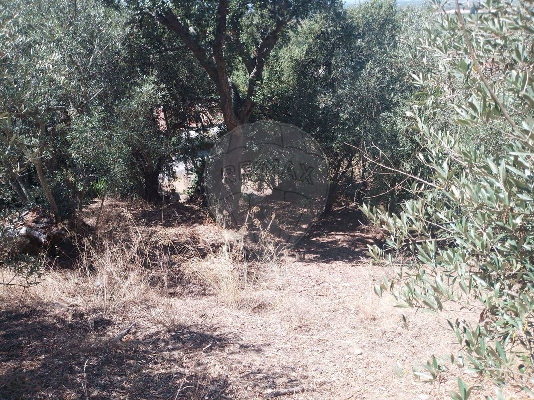 listing 124631107-21 picture-0