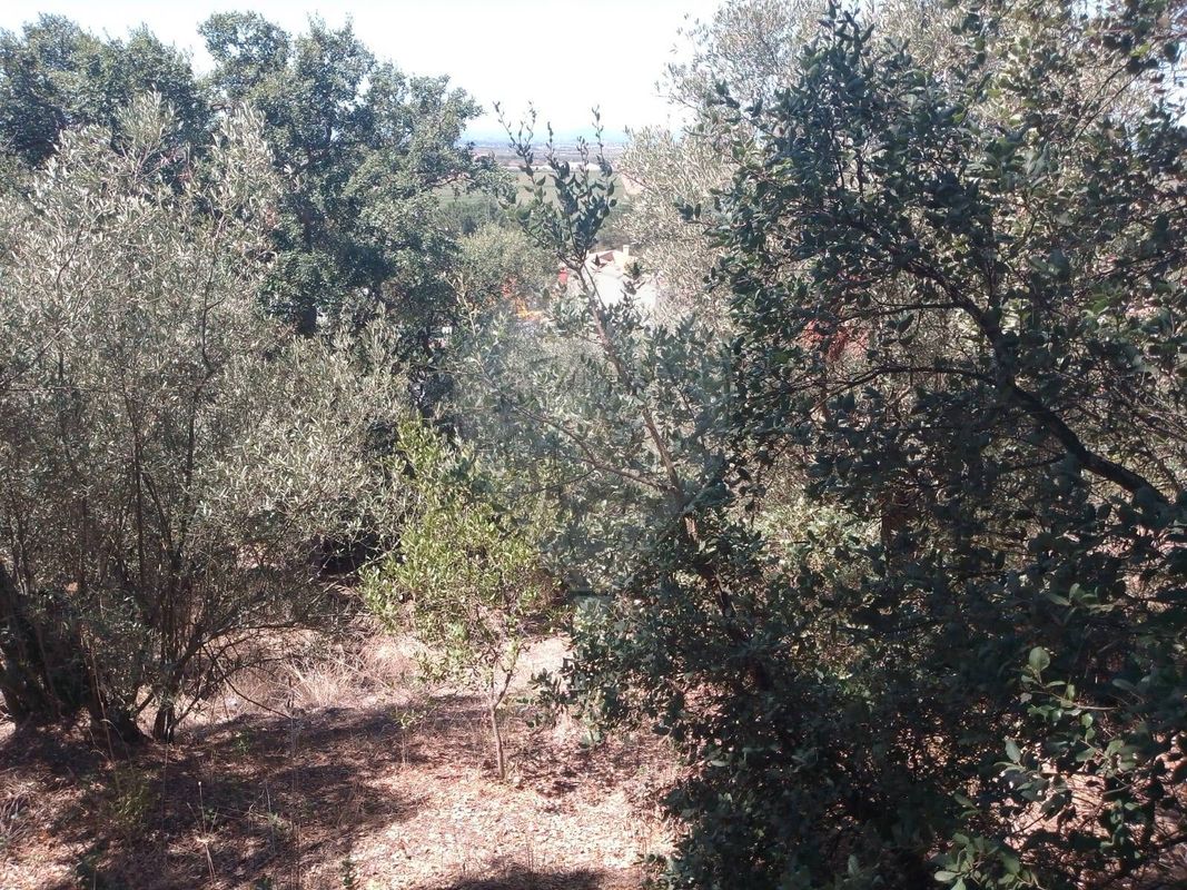 listing 124631107-21 picture-0
