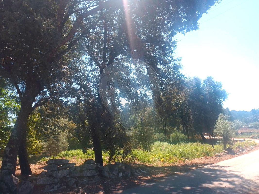 listing 124631107-23 picture-0
