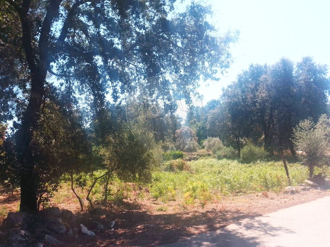 listing 124631107-23 picture-0