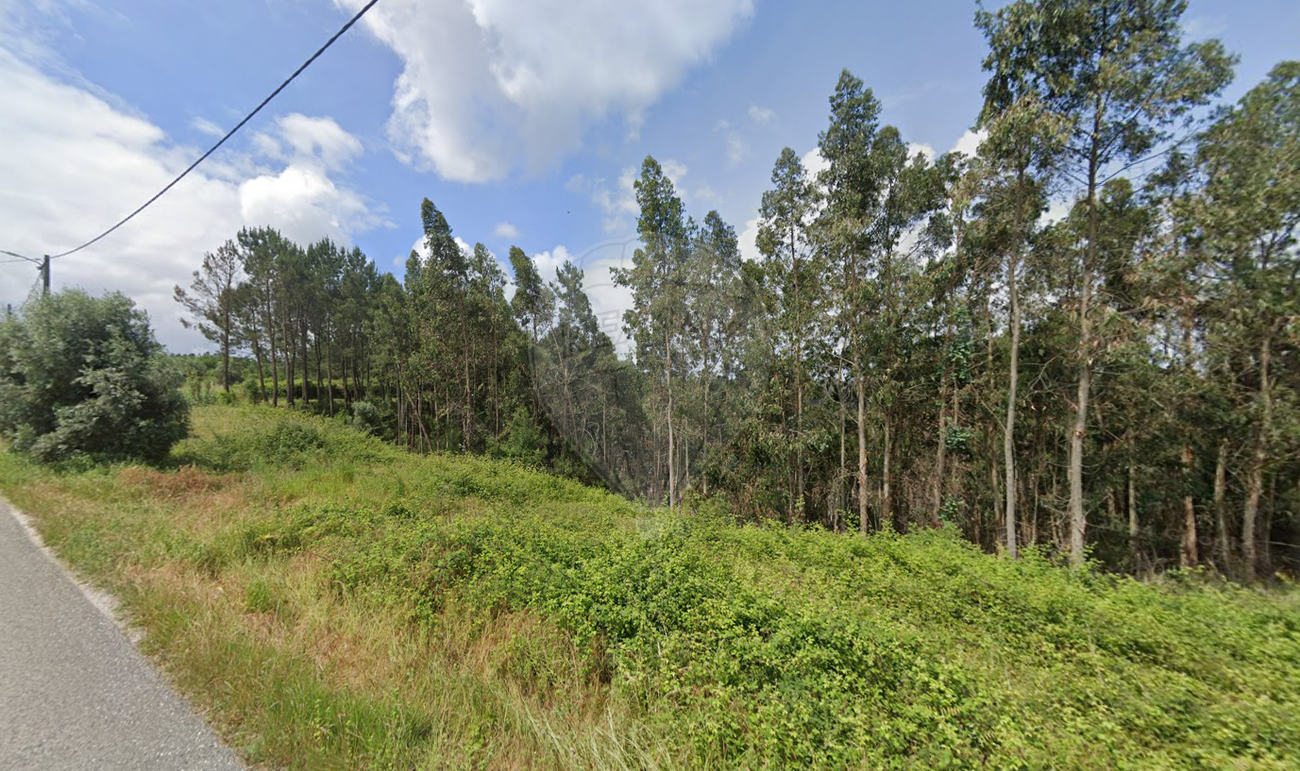 listing 124631157-9 picture-0