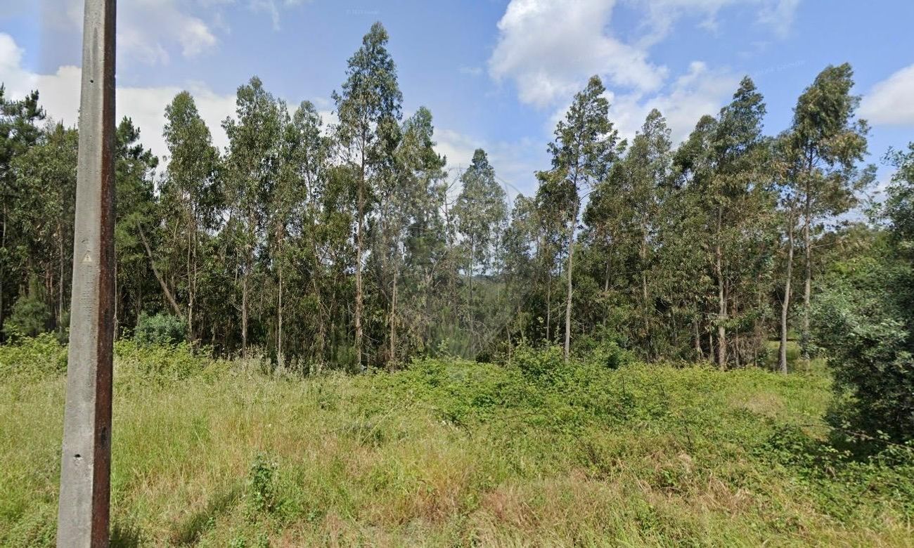 listing 124631157-9 picture-0