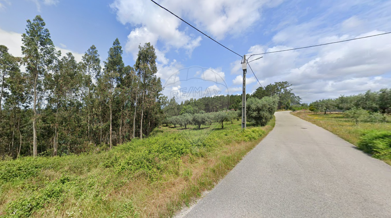 listing 124631157-9 picture-0