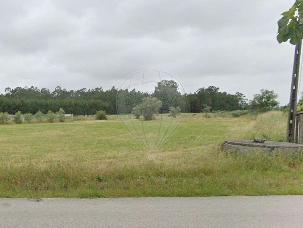 Terreno - Carriço, Pombal, Leiria