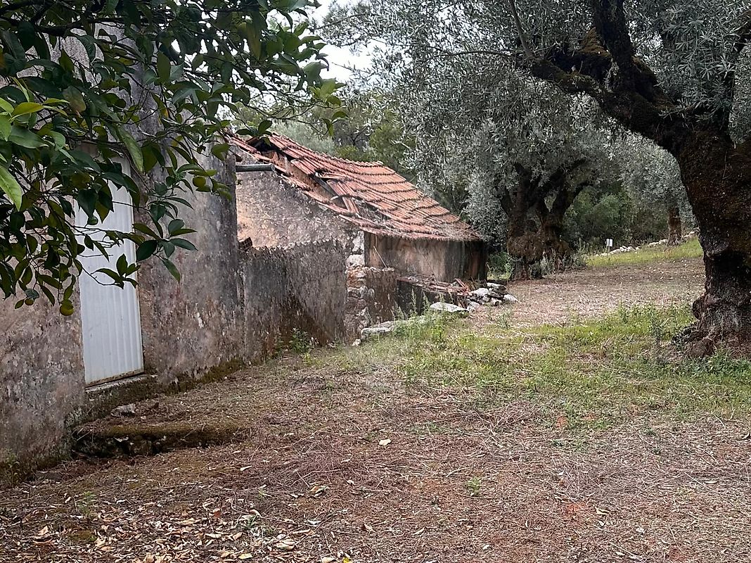 listing 124631157-3 picture-0