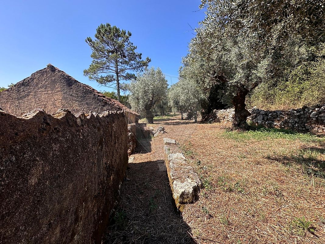 listing 124631157-3 picture-0