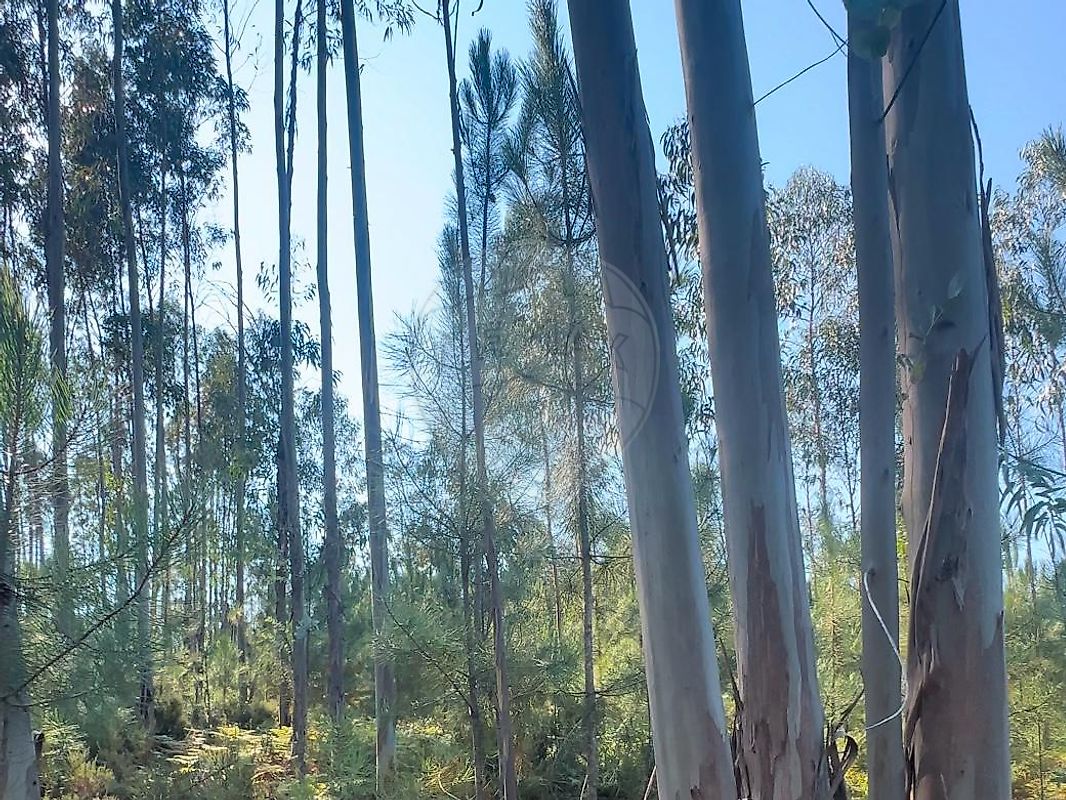 listing 124631157-6 picture-0