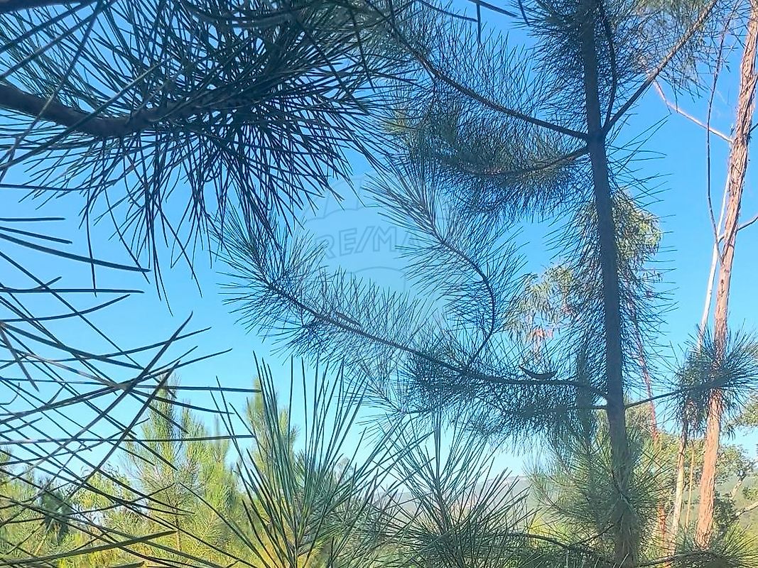 listing 124631157-6 picture-0