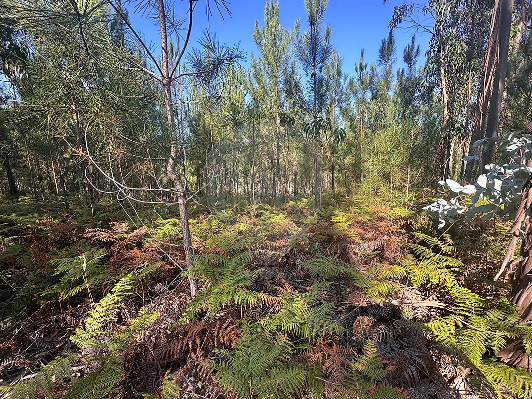 listing 124631157-6 picture-0