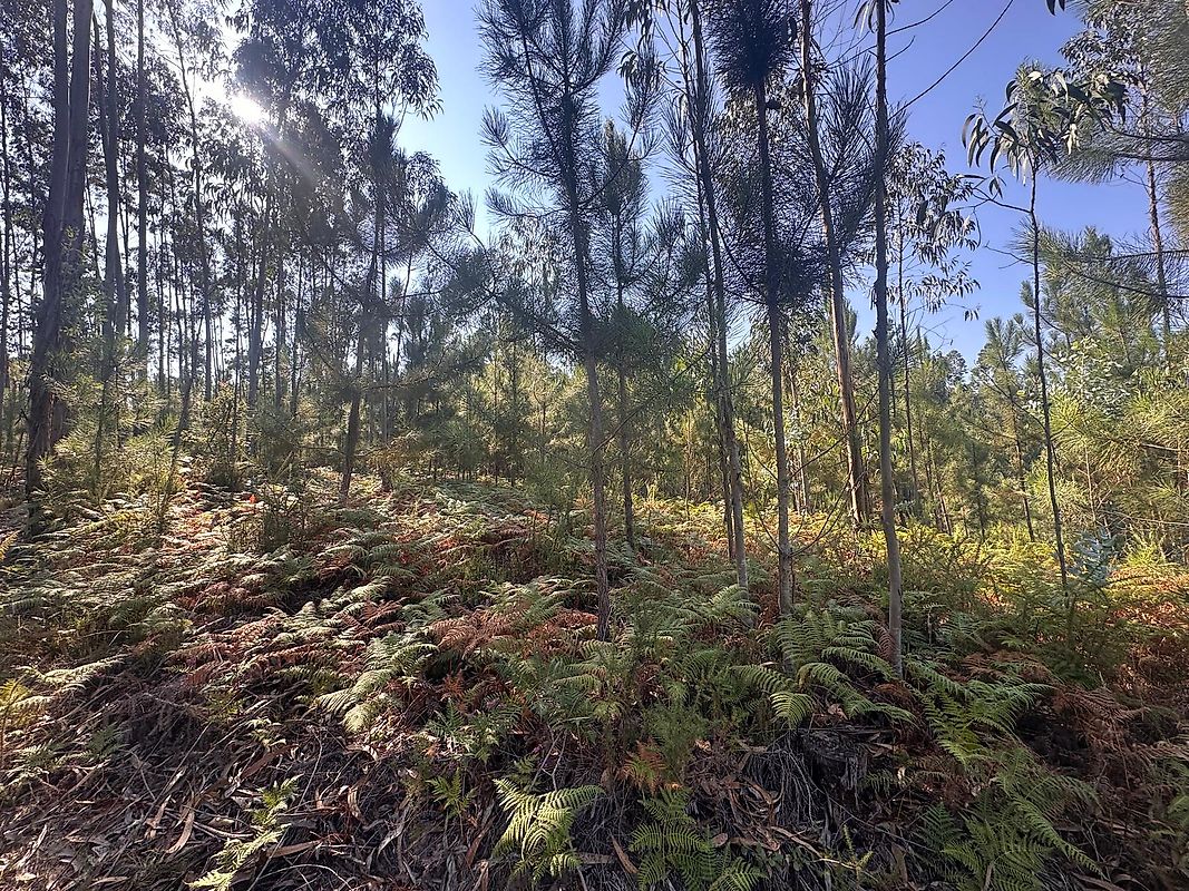 listing 124631157-6 picture-0